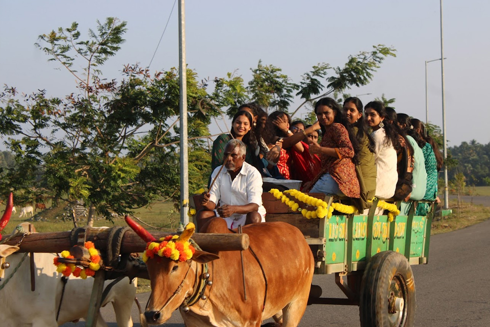 BULLOCK CART RIDE